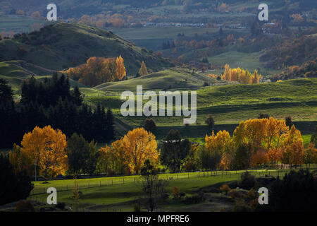 Herbst Farben und Ackerland, Arrowtown, in der Nähe von Queenstown, Otago, Südinsel, Neuseeland Stockfoto