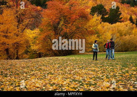 Bäume im Herbst und Touristen auf Wilcox Grün, Arrowtown, in der Nähe von Queenstown, Otago, Südinsel, Neuseeland Stockfoto