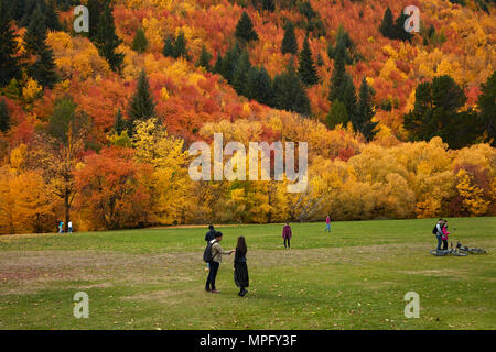 Bäume im Herbst und Touristen auf Wilcox Grün, Arrowtown, in der Nähe von Queenstown, Otago, Südinsel, Neuseeland Stockfoto