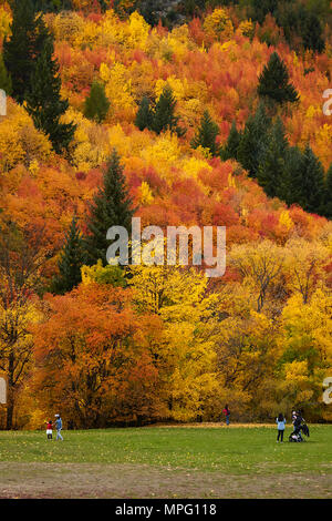 Bäume im Herbst und Touristen auf Wilcox Grün, Arrowtown, in der Nähe von Queenstown, Otago, Südinsel, Neuseeland Stockfoto