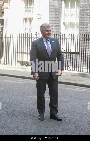 London, Großbritannien. 23. Mai 2018. Brandon Lewis MP, Vorsitzender der Konservativen Partei und Minister ohne Portfolio außerhalb 10 Downing Street Credit: Amer ghazzal/Alamy leben Nachrichten Stockfoto