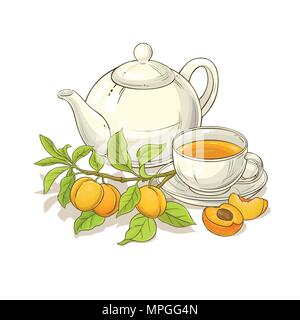 Aprikosen tee Vector Illustration auf weißen backgrond Stock Vektor