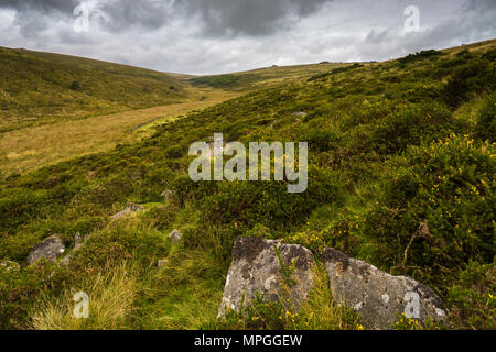 Der Dart Tal nördlich von zwei Brücken zu Wistmans Holz, ein Ort von besonderem wissenschaftlichen Interesse im Nationalpark Dartmoor, Devon, England. Stockfoto