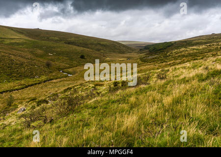 Der Dart Tal nördlich von zwei Brücken zu Wistmans Holz, ein Ort von besonderem wissenschaftlichen Interesse im Nationalpark Dartmoor, Devon, England. Stockfoto