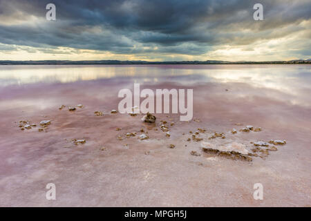 Die Ufer des pink Salt Lake von Torrevieja, Alicante, Spanien. Stockfoto