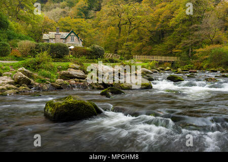 Herbst im Watersmeet im Nationalpark Exmoor, Devon, England. Stockfoto