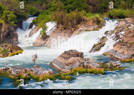 Big Khone Phapheng Wasserfall - Don, don Khong phapheng, Si Phan auf vier tausend Inseln in Laos don. Landschaft der Natur in Südostasien während su Stockfoto