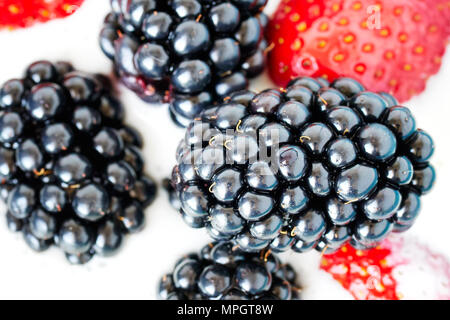 In der Nähe Bild von Brombeeren, Erdbeeren im Joghurt, geringe Tiefenschärfe. Stockfoto