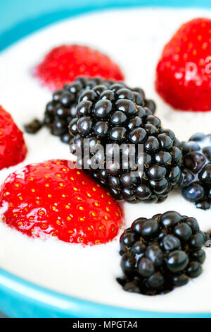 In der Nähe Bild von Brombeeren, Erdbeeren im Joghurt, geringe Tiefenschärfe. Stockfoto