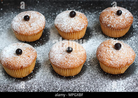 Muffins mit Schwarze Johannisbeere bestreut mit Puderzucker. Stockfoto