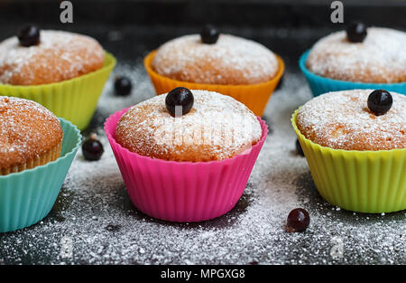 Muffins mit Schwarze Johannisbeere in Silikon Formen bestreut mit Puderzucker Stockfoto