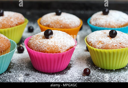 Muffins mit Schwarze Johannisbeere in Silikon Formen bestreut mit Puderzucker Stockfoto