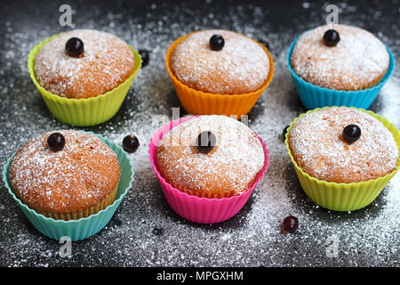 Muffins mit Schwarze Johannisbeere in Silikon Formen bestreut mit Puderzucker Stockfoto