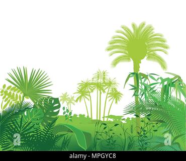 In der tropisch-exotischen Pflanzen Abbildung Stock Vektor