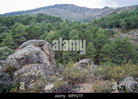 Fotografía tomada en el Monte Abantos, San Lorenzo de El Escorial, España. Stockfoto