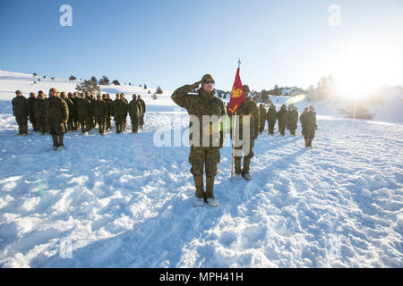 Us-Marines mit Bravo Company, 1 Combat Engineer Battalion (CEB), 1st Marine Division begrüssen den neuen Kompaniechef während Berg Training Übung (MTX) 2-17 im Marine Corps Mountain warfare Training Center, Bridgeport, Calif., Feb 26, 2017. 1. CEB durchgeführt Szenario-basierte Training, dass Mobilität umfasste, Mobilität und Überlebensfähigkeit in einem Gebirgigen, schneebedeckten enironment, 1. CEB herausgefordert bekämpfen Engineering Lösungen für angetriebene Infanterie Aufgaben zu generieren. Marines vom 7. Techniker Bataillon, 1. Marine Logisitics Gruppe, 2.Bataillon, 11. Stockfoto