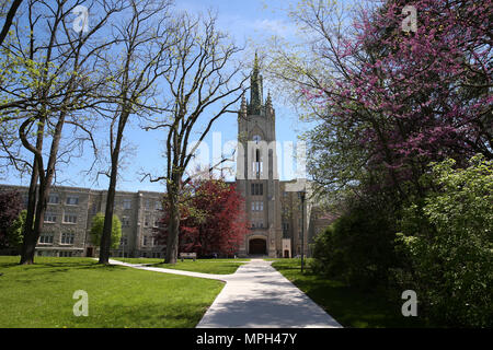 Middlesex College Western Stockfoto