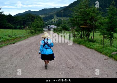 GRANJA PORCON-evangelischen Kooperativen - Departement Cajamarca PERU Stockfoto