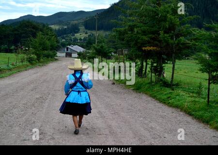 GRANJA PORCON-evangelischen Kooperativen - Departement Cajamarca PERU Stockfoto