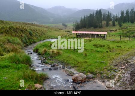 GRANJA PORCON-evangelischen Kooperativen - Departement Cajamarca PERU Stockfoto