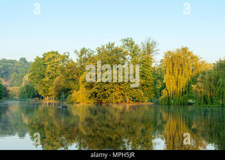 Blick auf eine Gruppe von Bäumen am Ufer eines Sees kurz nach Sonnenaufgang. Baumkronen spiegeln sich auf der Oberfläche des Teiches. Leichte Dunst schwebt Abo Stockfoto