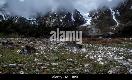 Yumthang Tal, eine beliebte Touristenattraktion und Natur Camp im östlichen Himalaya, Sikkim, Indien Stockfoto