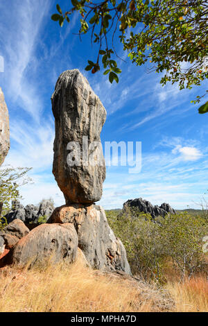 Balancing Rock, einer spektakulären Felsformation aus Kalkstein in Chillagoe-Mungana Caves National Park, Far North Queensland, FNQ, QLD, Australien Stockfoto