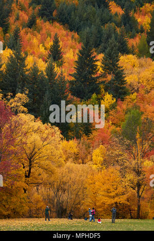 Bäume im Herbst und Touristen auf Wilcox Grün, Arrowtown, in der Nähe von Queenstown, Otago, Südinsel, Neuseeland Stockfoto