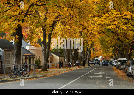 Herbst Farbe und historischen Cottages, Arrowtown, in der Nähe von Queenstown, Otago, Südinsel, Neuseeland Stockfoto