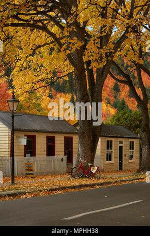 Herbst Farbe und historischen Cottages, Arrowtown, in der Nähe von Queenstown, Otago, Südinsel, Neuseeland Stockfoto