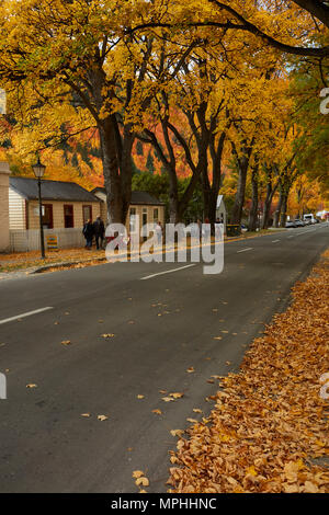 Herbst Farbe und historischen Cottages, Arrowtown, in der Nähe von Queenstown, Otago, Südinsel, Neuseeland Stockfoto