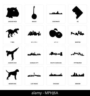 16 Einfache editierbare Ikonen wie Denver, Chicago, Las Vegas, Boxer Dog, Pittsburgh, Jaguar Gesicht, T-Rex, Karate Kick, Apple für Mobi verwendet werden kann. Stock Vektor