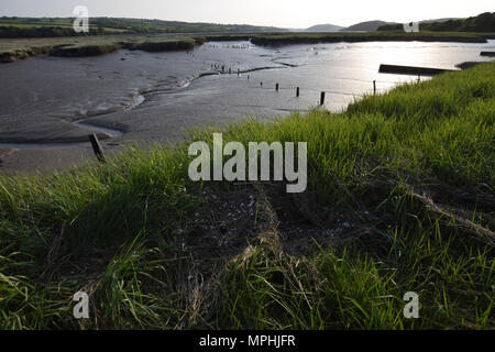 Wattenmeer an der Mündung des Flusses Camel bei Ebbe Stockfoto