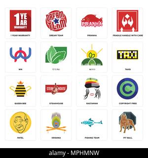 16 Einfache editierbare Symbole wie Pit Bull, Angeln Team, Krishna, Patel, copyright frei, 1 Jahre Garantie, wn, KÖNIGIN-BIENE, Agro kann für m verwendet werden. Stock Vektor