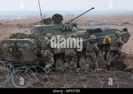 Ukrainische Soldaten der 1.Bataillon, 28 Mechanisierte Infanteriebrigade hetzen durch ein Kabel Hindernis, während Sie die Abdeckung hinter dem BMP-2 gepanzertes Fahrzeug während einer Live-Fire Training übung in der yavoriv Combat Training Center des internationalen Friedens und der Sicherheit, in der Nähe der Yavoriv, Ukraine am 16. März. Die live-fire Übung ist Teil eines Blockes der Anweisung von ukrainischen Combat Training Center Personal unterrichtet, die durch Mitglieder des Gemeinsamen multinationalen Ausbildung Group-Ukraine betreut werden. JMTG-U ist eine Koalition aus servicemembers aus Kanada, Dänemark, Litauen, Polen Stockfoto