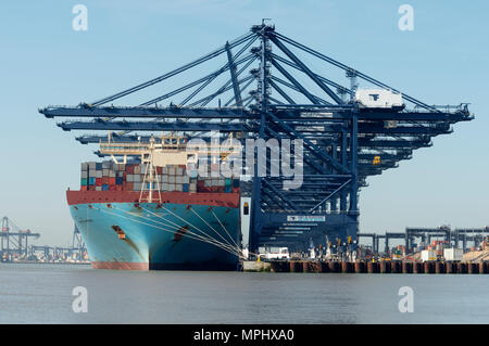 Hafen von Felixstowe, Suffolk, UK. Stockfoto