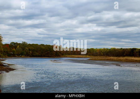Herbst gefärbten Wasser Sonnenuntergang malerische Natur mit Fluss und Vergilbter Bäume in der Landschaft. Soft Filter angewendet. Stockfoto