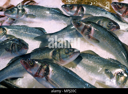 Wolfsbarsch auf Anzeige Fischmarkt Stockfoto