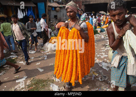 India, West Bengal, Kalkutta, Ringelblume Verkäufer Malik Ghat Blumenmarkt. Stockfoto