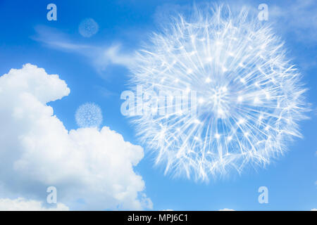 Hell und luftig Löwenzahn auf blauem Hintergrund mit Wolken. Blowballs als Symbol für Leichtigkeit, kalorienarme Ernährung, Reisen und Flug. Stockfoto