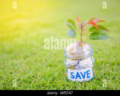 Pflanzen wachsen aus Münzen in Glas Glas auf dem grünen Rasen für Geld sparen Finanzkonzept Stockfoto