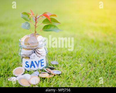 Pflanzen wachsen aus Münzen in Glas Glas auf dem grünen Rasen für Geld sparen Finanzkonzept Stockfoto