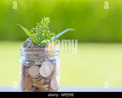 Pflanzen wachsen aus Münzen in Glas Glas auf dem grünen Rasen für Geld sparen Finanzkonzept Stockfoto