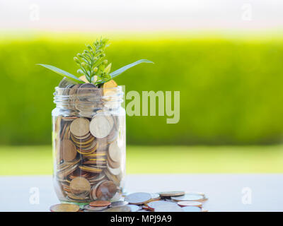 Pflanzen wachsen aus Münzen in Glas Glas auf dem grünen Rasen für Geld sparen Finanzkonzept Stockfoto