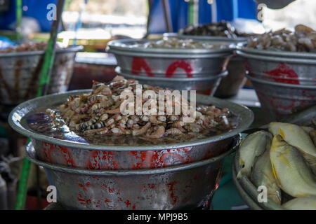 Große Fässer mit verschiedenen Süßwasser-Garnelen und Krabben auf einem lokalen Markt in Mittelamerika. Stockfoto