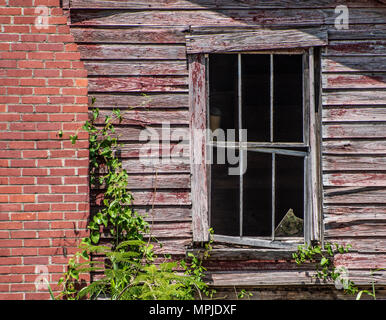 ELM Grove, LA, USA - eine verwitterte alte Haus mit einem externen Schornstein wird schrittweise durch die Elemente der Natur zurückerobert. Stockfoto