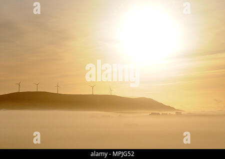 Windmühlen auf den Hügeln auf einem nebligen Morgen mit der Sonne nur steigende und Nebel im Tal unter Ihnen Stockfoto