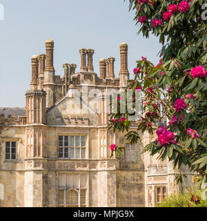 Offener Garten Charity Event am Tregothnan Immobilien, Cornwall, Großbritannien Stockfoto