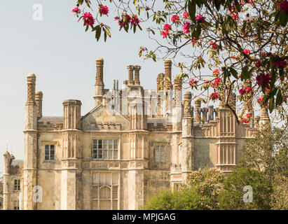 Offener Garten Charity Event am Tregothnan Immobilien, Cornwall, Großbritannien Stockfoto