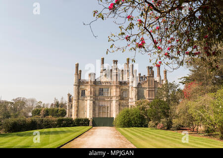 Offener Garten Charity Event am Tregothnan Immobilien, Cornwall, Großbritannien Stockfoto